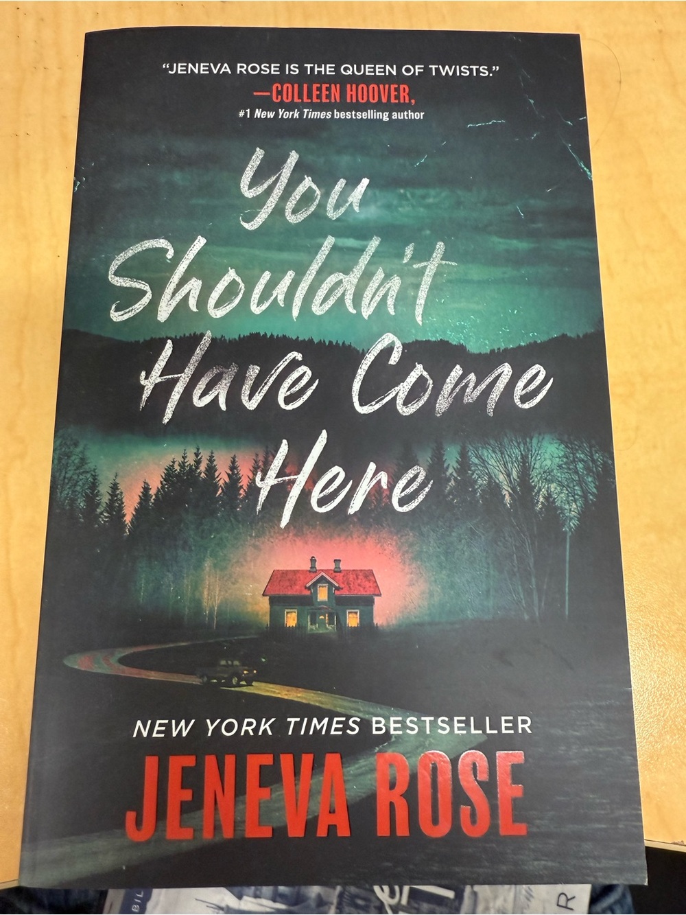 'You Shouldn't Have Come Here' Decorative Book Poster - Black/Green/Red